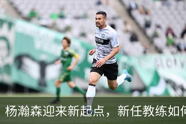 杨瀚森迎来新起点，新任教练如何解锁他的潜能？